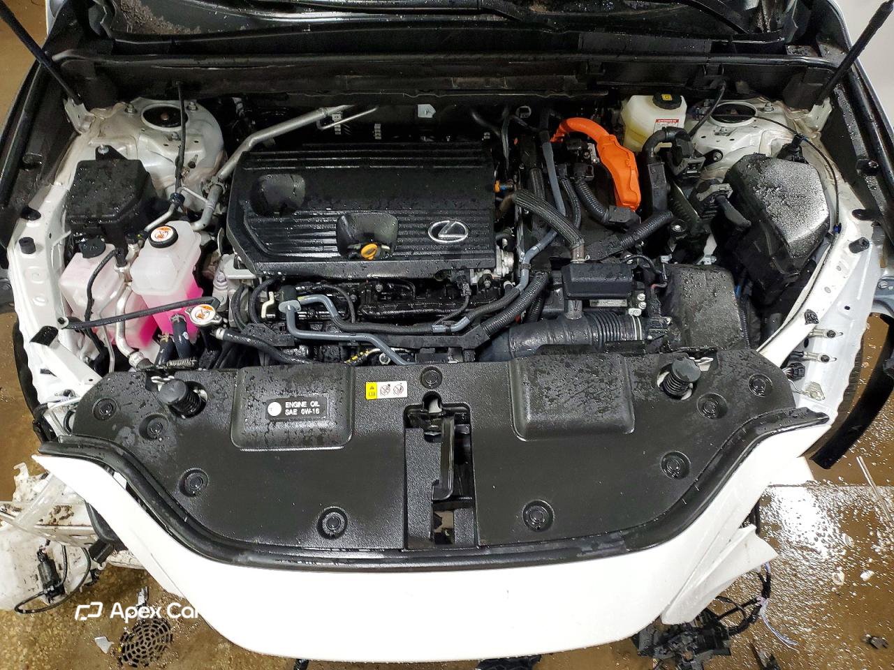 Lexus NX 2025