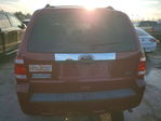Ford Escape 2010