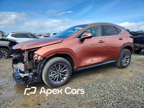 Lexus NX 2026 - Zdjęcie 1 z 14