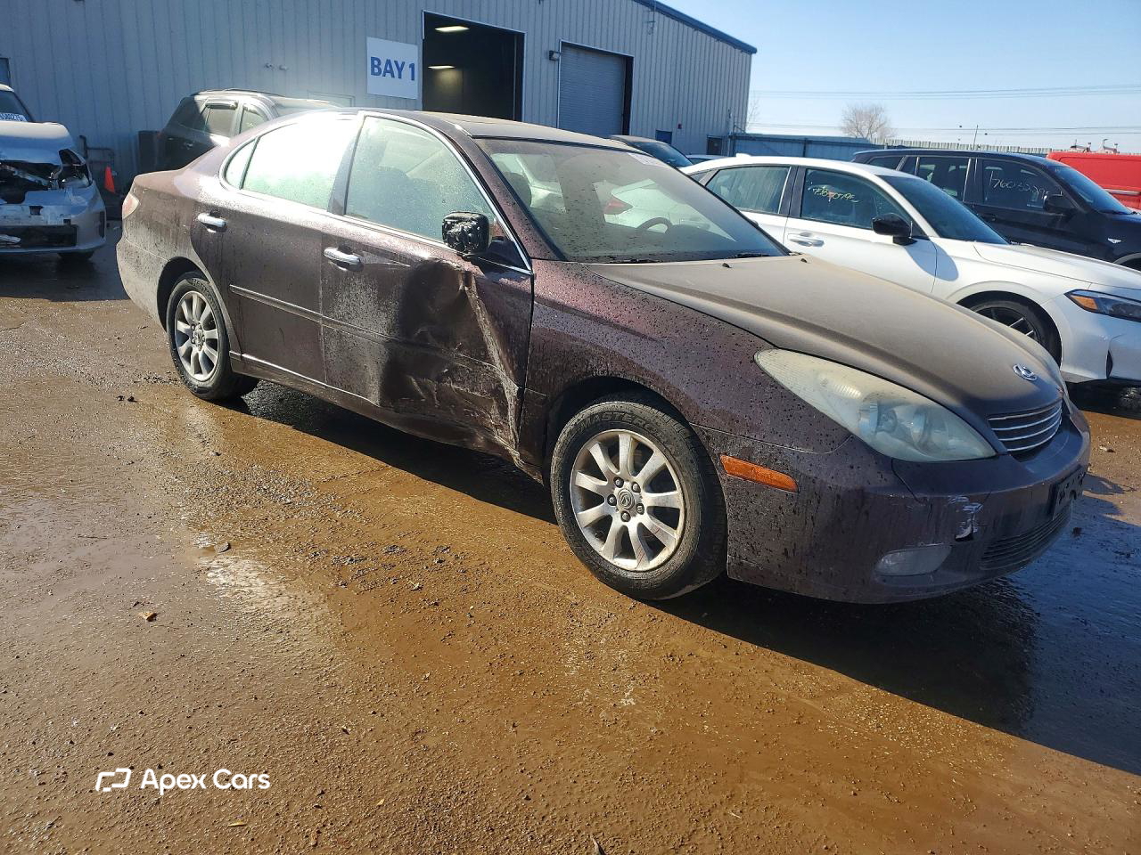 Lexus ES 2003