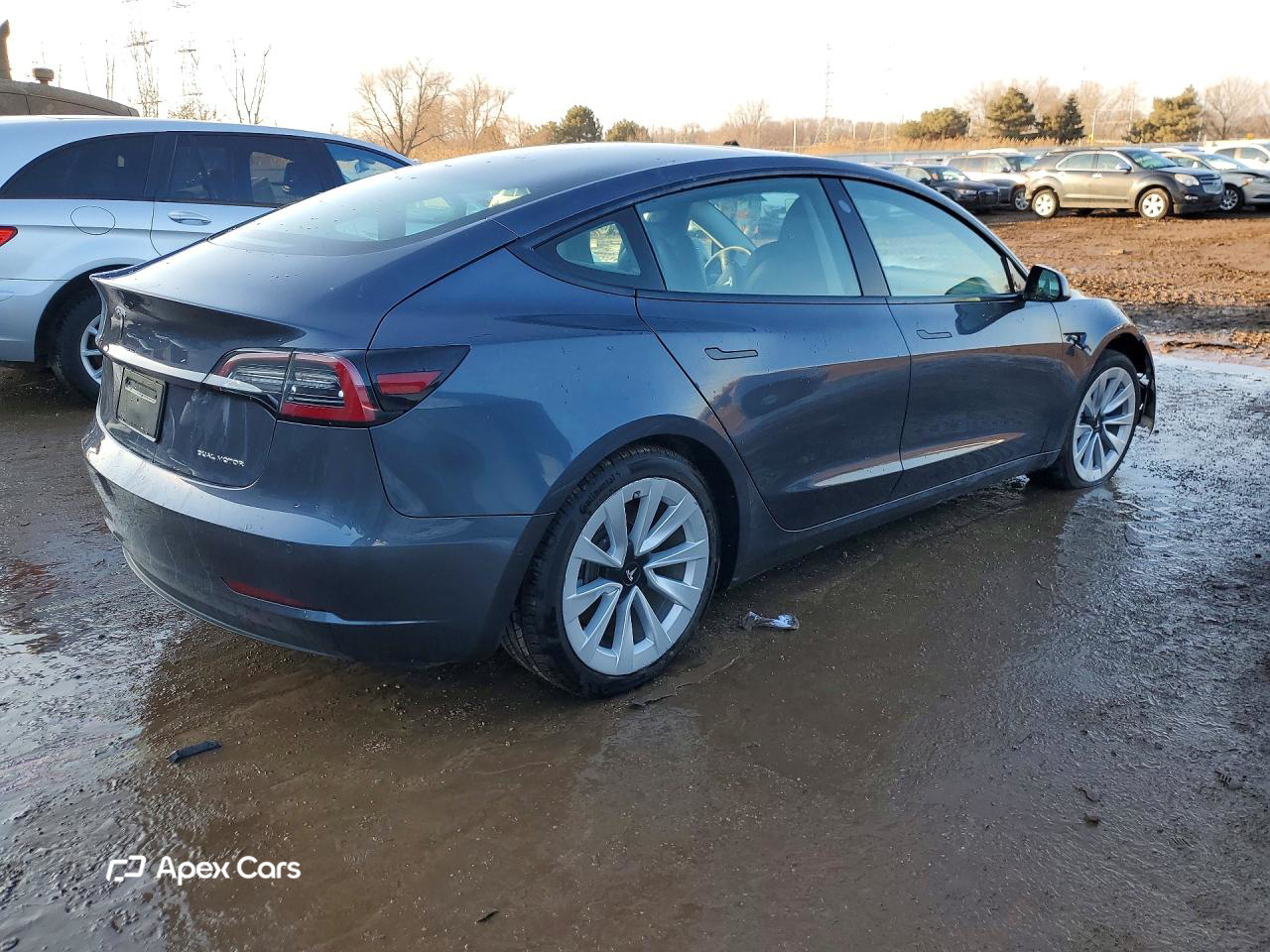 Tesla Model 3 2021