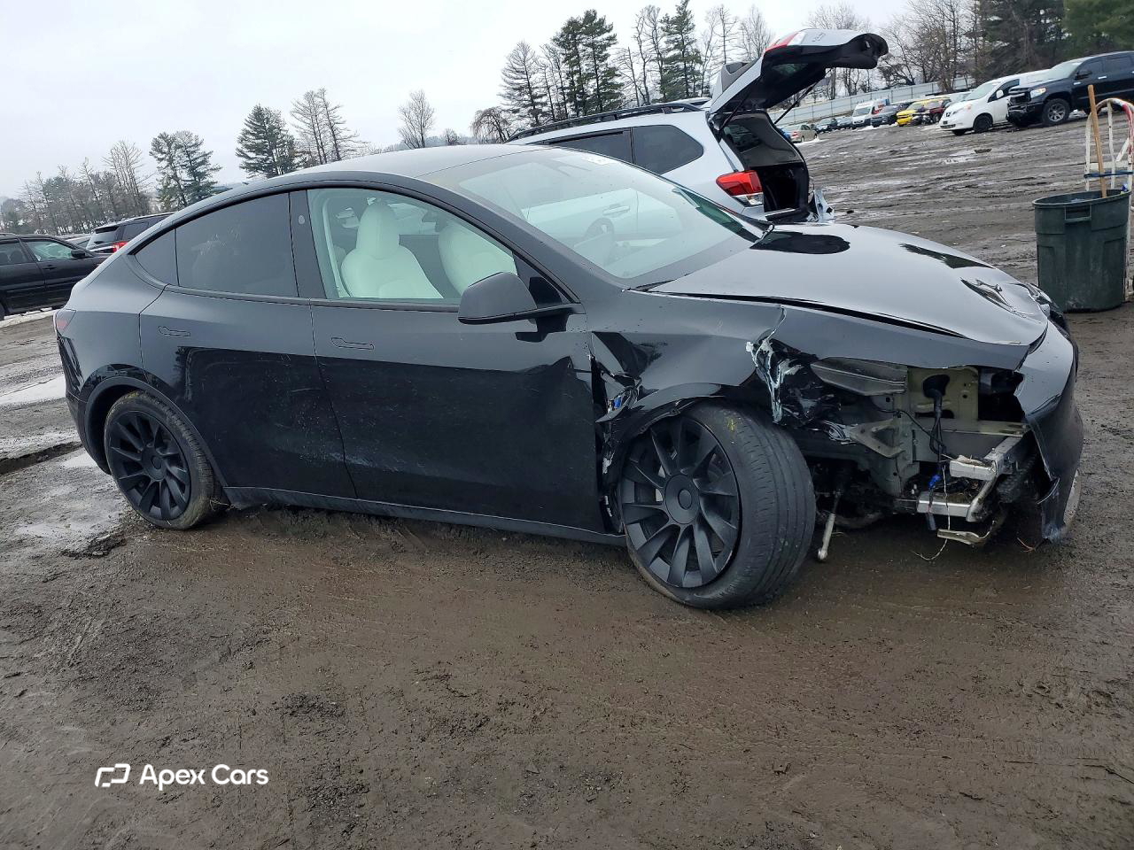 Tesla Model Y 2023