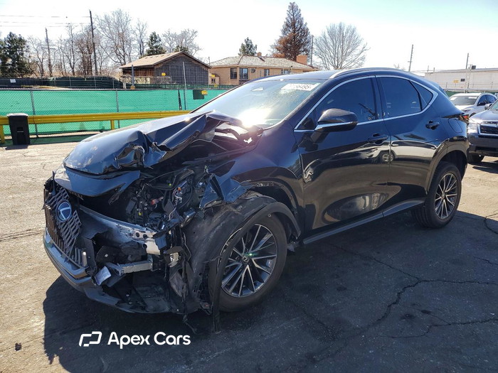 2024 Lexus NX - Image 1 of 5