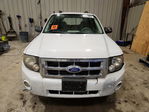Ford Escape 2011