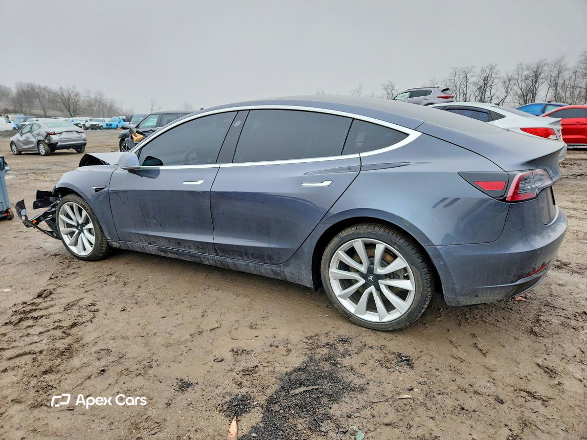 Tesla Model 3 2019