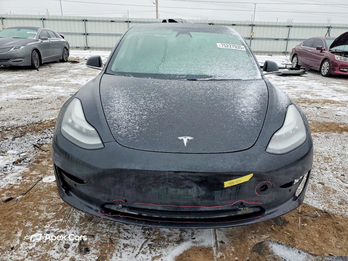 Tesla Model 3 2019