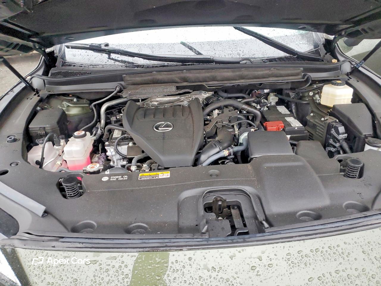 Lexus RX 2024