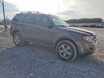 Ford Escape 2011