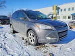 Ford Escape 2013