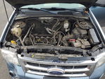 Ford Escape 2011
