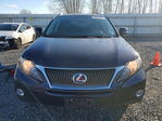 Lexus RX 2010