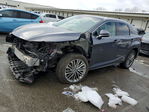 Lexus RX 2022