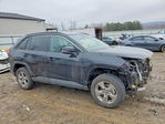 Toyota RAV 4 2024