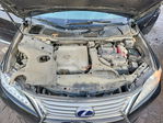 Lexus RX 2013