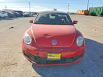 Volkswagen Beetle 2013