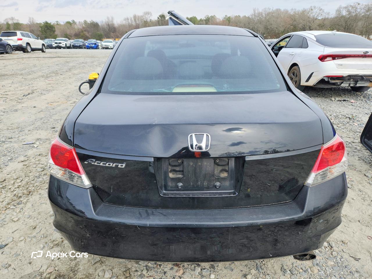 Honda Accord 2010