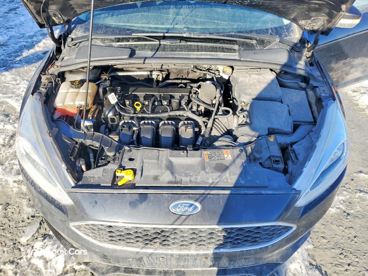 Ford Focus 2015