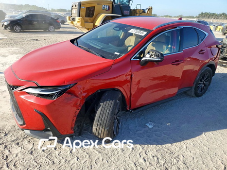 Lexus NX 2024 - Zdjęcie 1 z 14