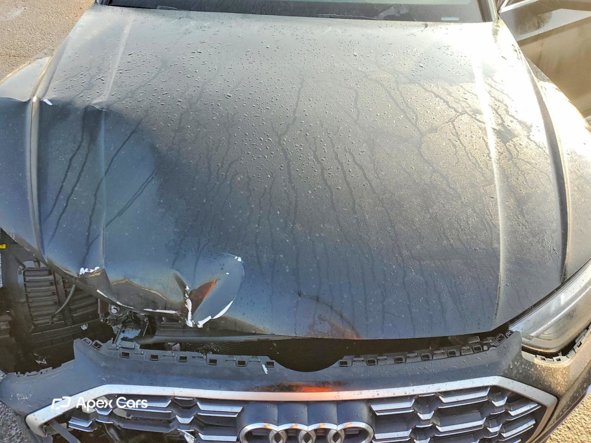 Audi SQ5 2022