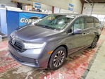 Honda Odyssey 2024