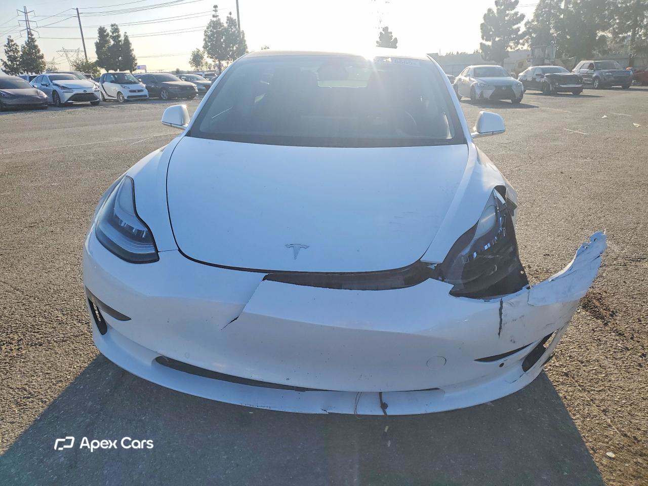 Tesla Model 3 2020