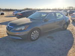 Honda Accord 2011