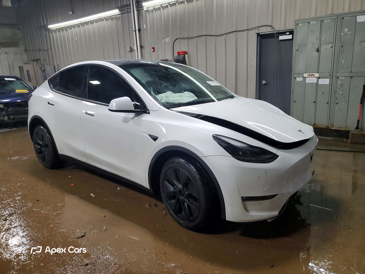 Tesla Model Y 2024