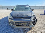 Ford Escape 2016
