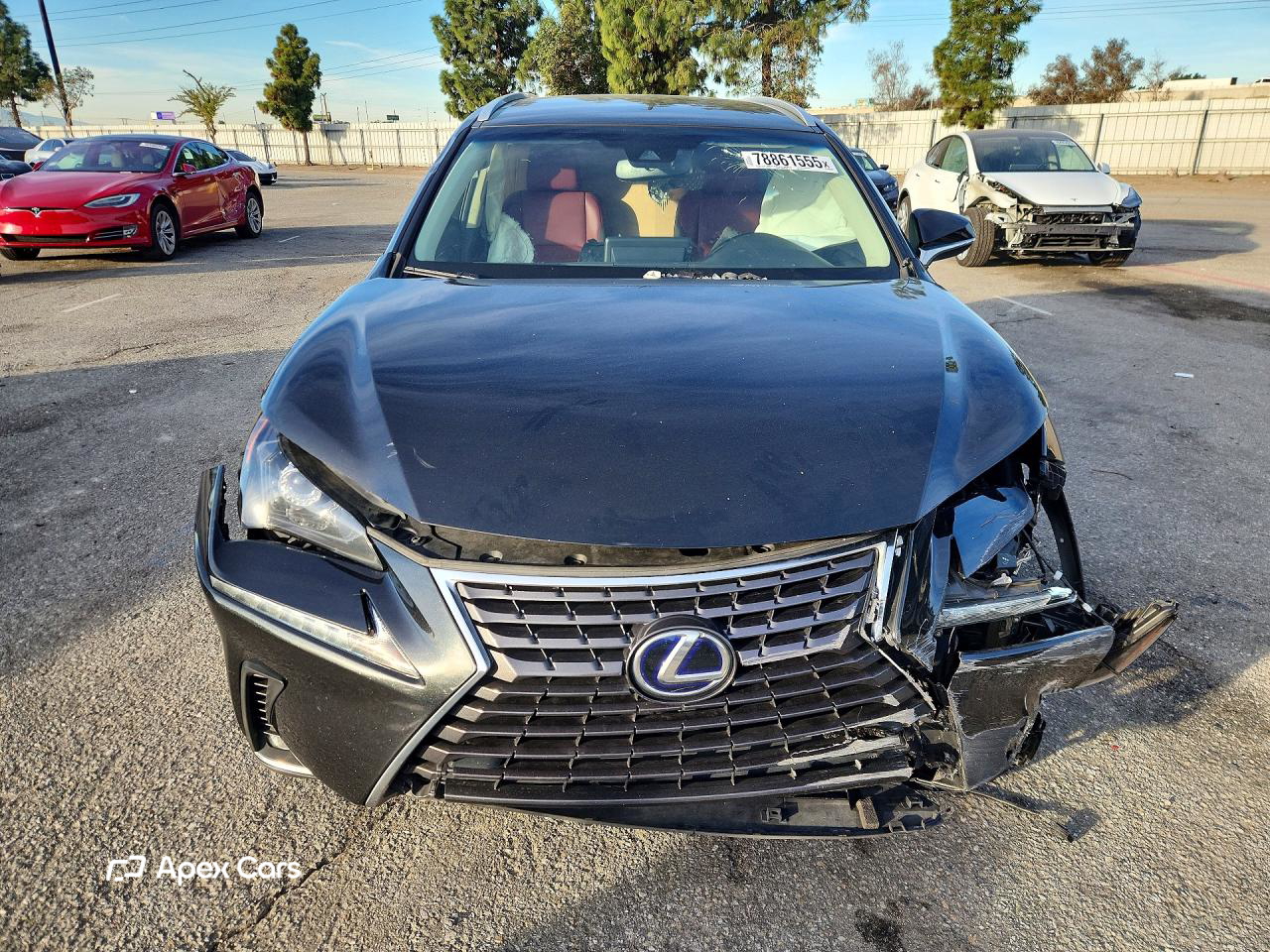 Lexus NX 2019