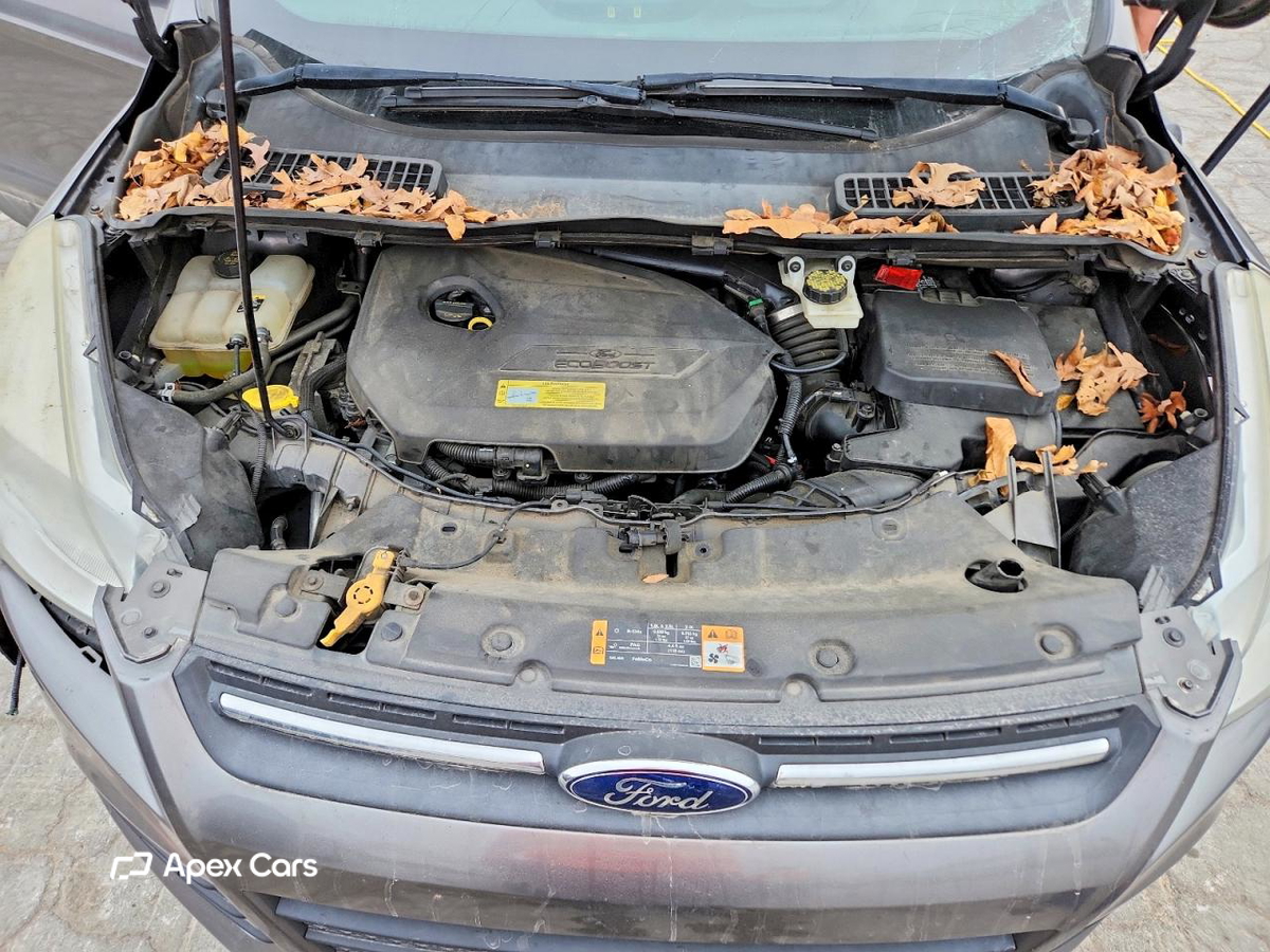 Ford Escape 2013