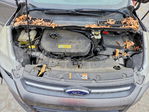 Ford Escape 2013