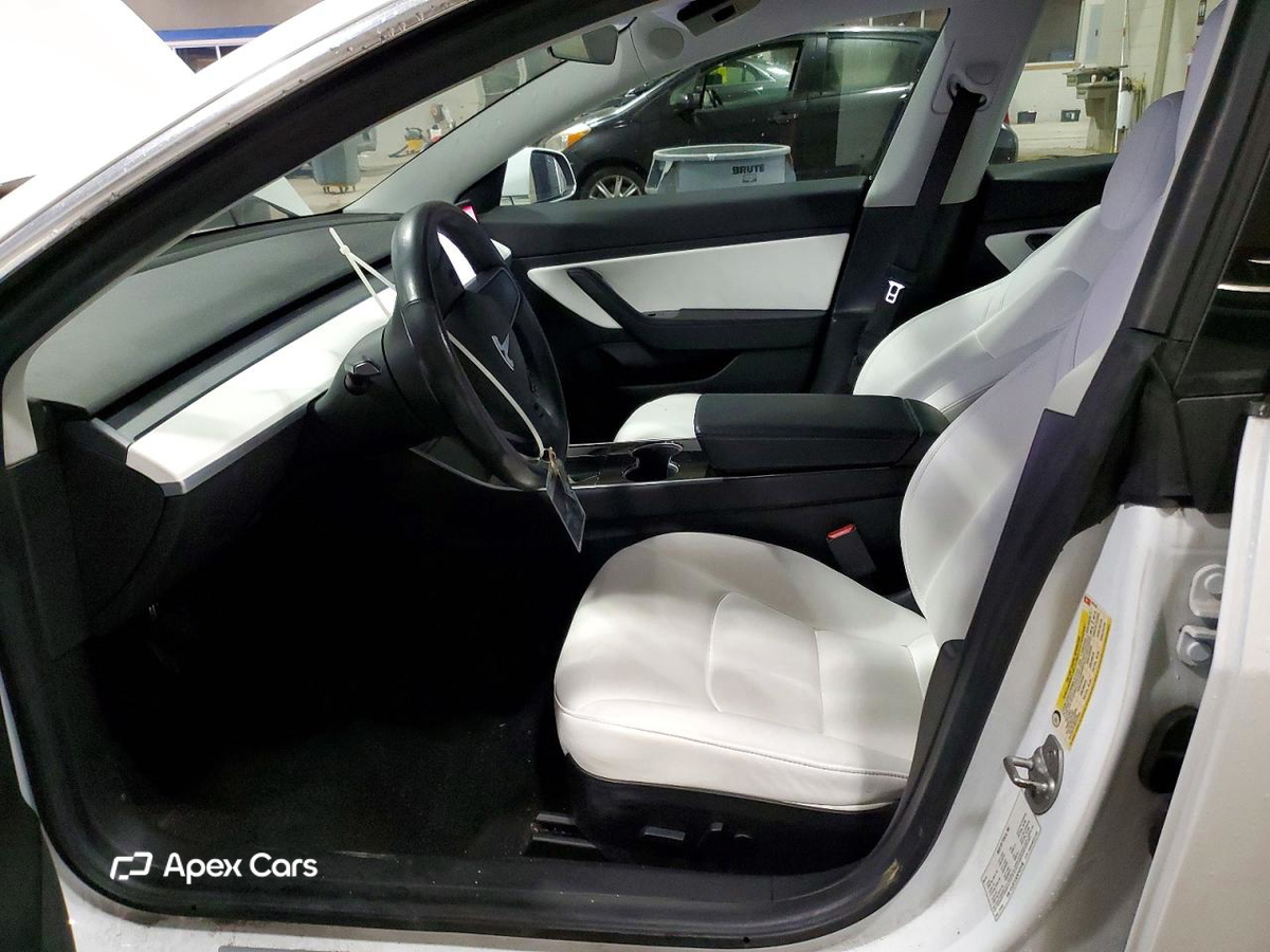 Tesla Model 3 2019