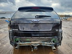 Ford Edge 2013