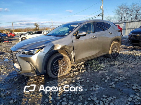 Lexus NX 2026 - Zdjęcie 1 z 13