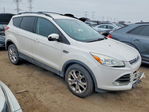 Ford Escape 2013