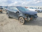 Ford Escape 2016