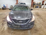 Hyundai Sonata 2013