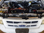 Ford Escape 2011