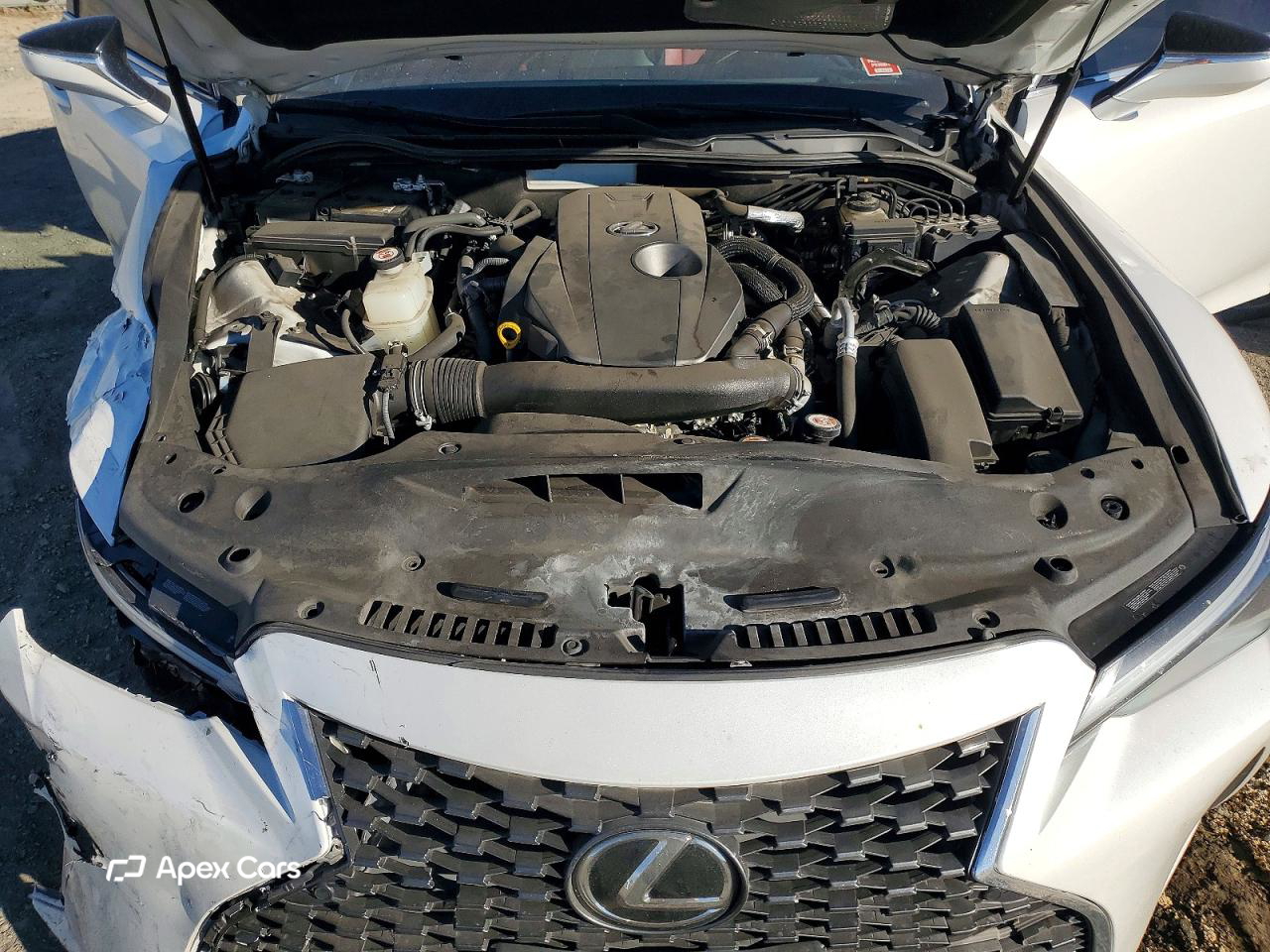 Lexus IS 2022