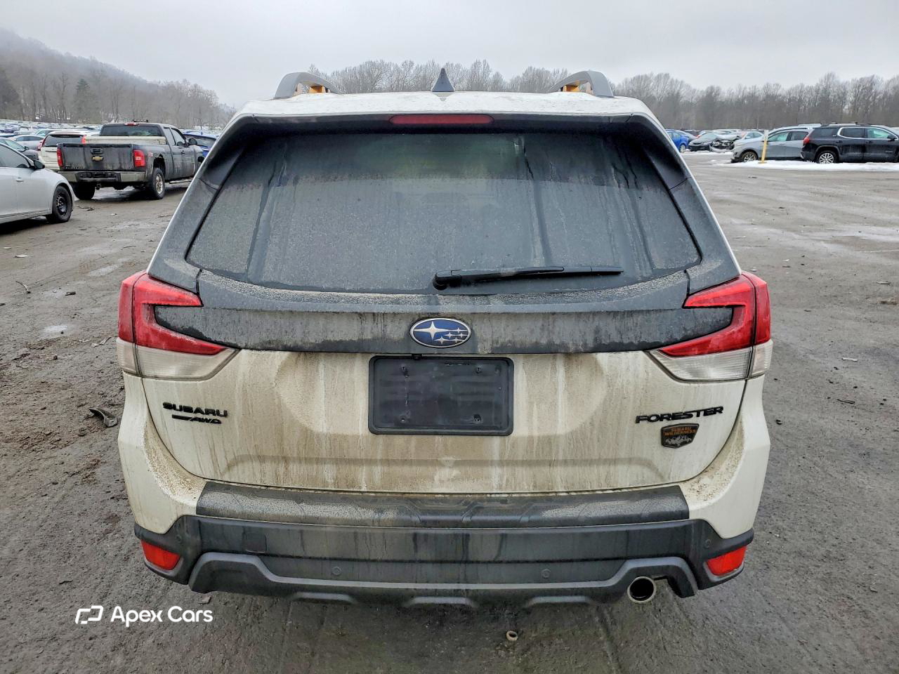 Subaru Forester 2024
