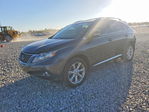Lexus RX 2010