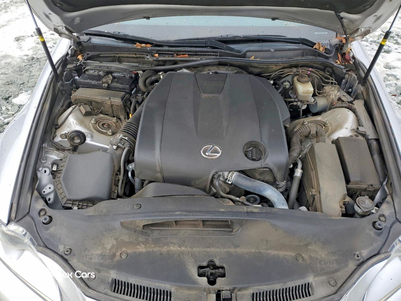 Lexus IS 2015