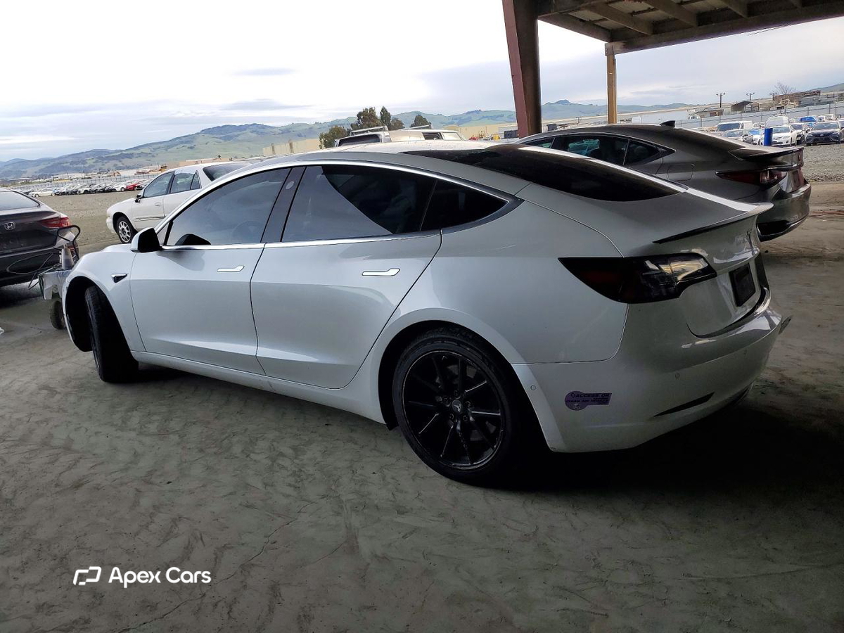 Tesla Model 3 2019