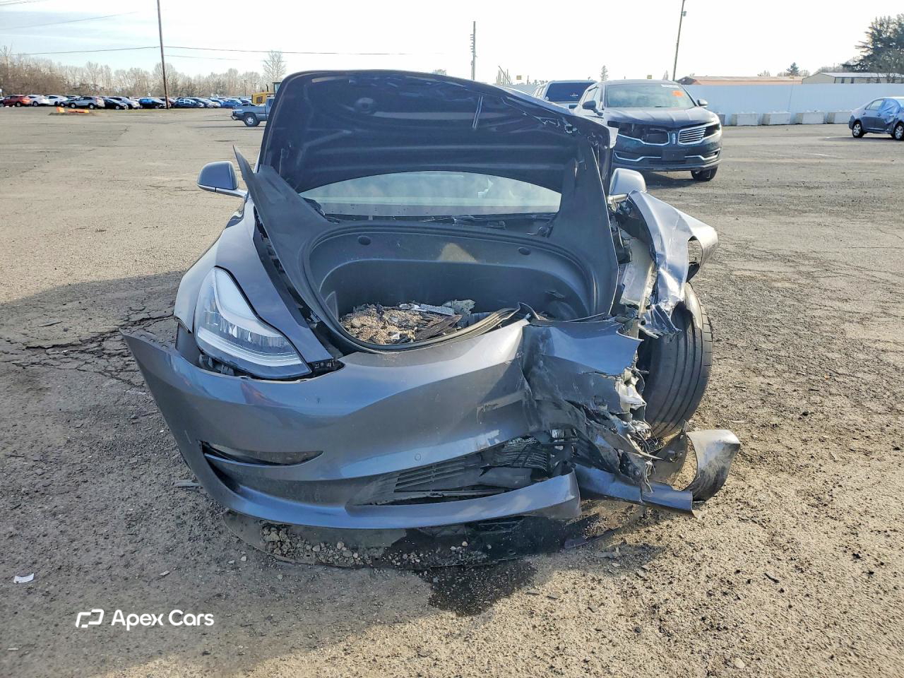 Tesla Model 3 2020
