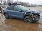 Ford Escape 2024