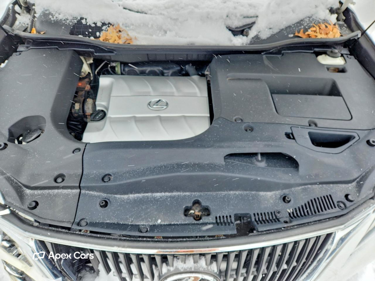 Lexus RX 2010