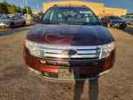 Ford Edge 2010
