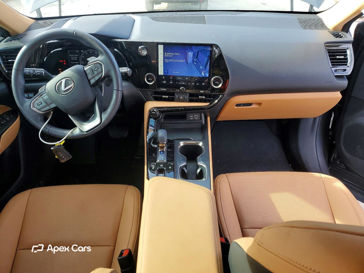 Lexus NX 2024
