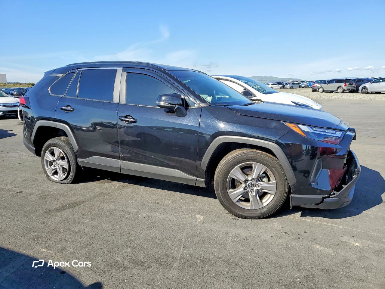 Toyota RAV 4 2024
