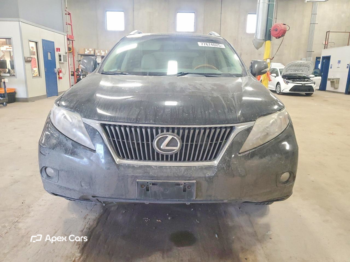 Lexus RX 2010